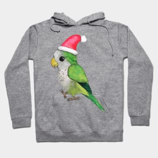 Christmas parrot Hoodie